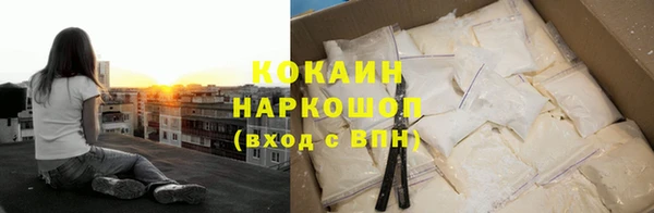 mix Богородицк