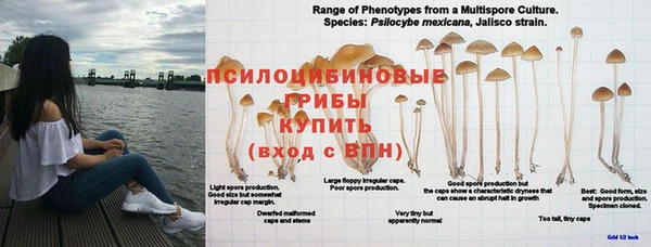 mix Богородицк